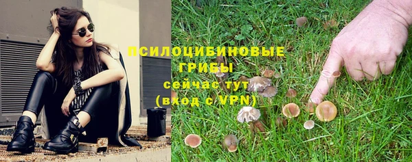 мдпв Заводоуковск