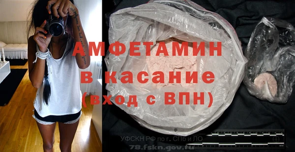 шишки Елизово