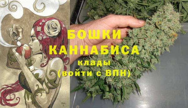 мдпв Заводоуковск