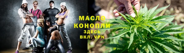 мдпв Заводоуковск