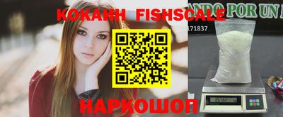 индика Гагарин