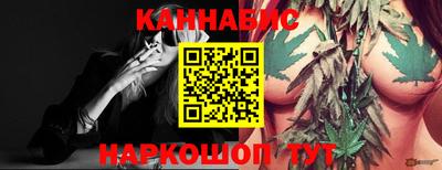 трава Гатчина