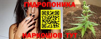 трава Гатчина