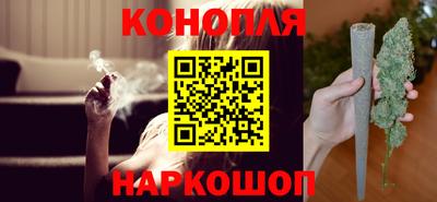 трава Гатчина