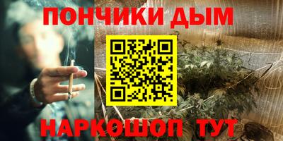 трава Гатчина