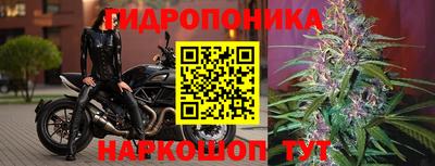 индика Гагарин