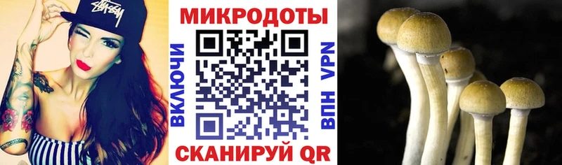купить наркотик  Ирбит  Галлюциногенные грибы ЛСД 