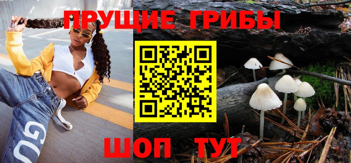 Ирбит  Галлюциногенные грибы MAGIC MUSHROOMS  Вход с VPN 
